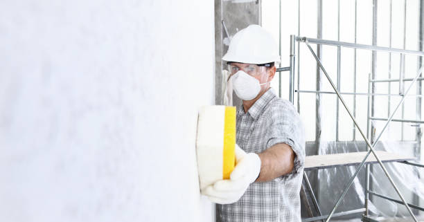 Best Asbestos and Lead Testing During Mold Inspection  in Healdsburg, CA