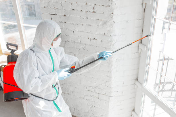 Best Commercial Mold Inspection  in Healdsburg, CA